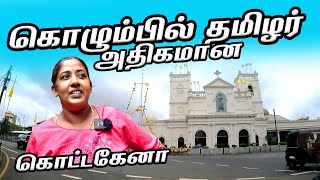 கொழும்பில் தமிழர்கள் இங்கே தான் அதிகம் | Kotahena  Colombo 13