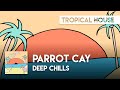 Deep chills  parrot cay sax house