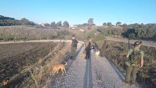 día de caza con el Club de Caza el Abejaruco en Vejer de la Frontera