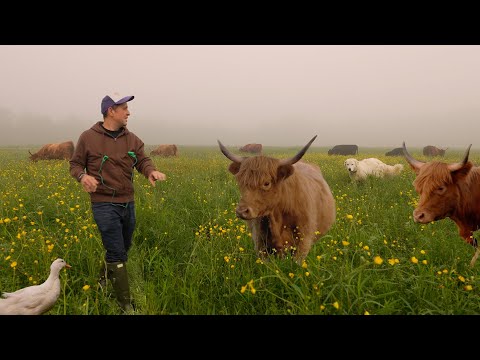 Day In The Life Of A Small Farm