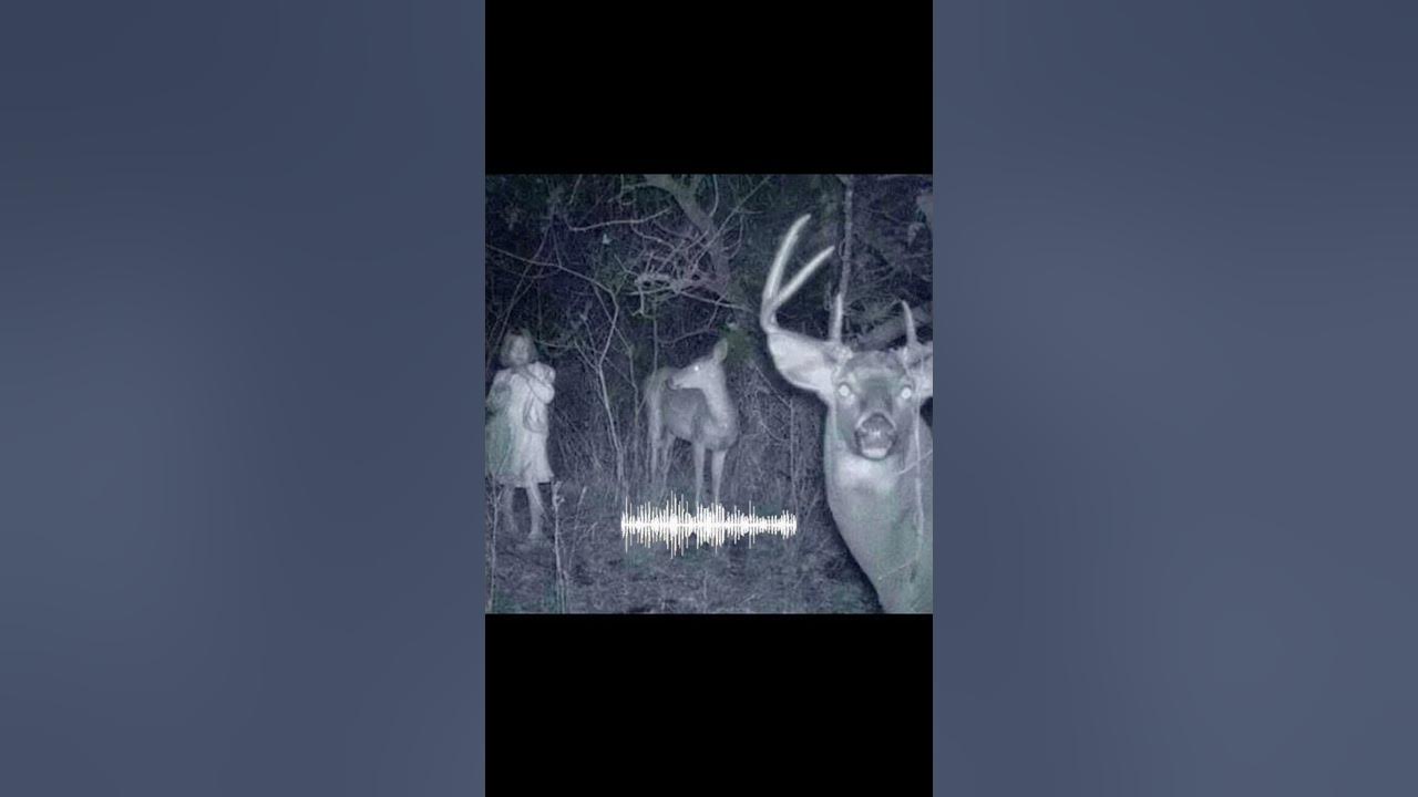 Real Wendigo Sounds Caught On Camera😱 #wendigo #sound #caughtoncamera #camera #real #shorts