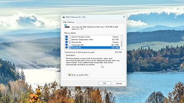 How to Clear the Thumbnail Cache in Windows 11/10 (Guide)