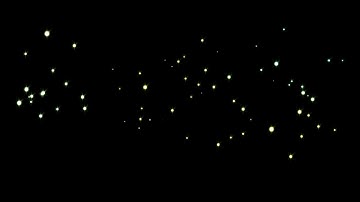 Firefly Loop Free HD background