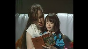 Video Primer Introduction / David Sabine