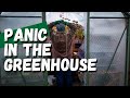 December garden chores  |  my favourite garden tools and a panic in the greenhouse