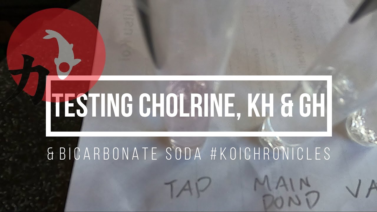 Testing for chlorine in the water levels, KH, *Carbonate Hardness and