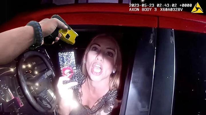 The Most Painful Traffic Stop Ever!