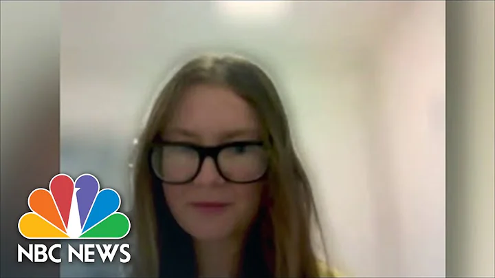 Anna Sorokin Gives Interview From Inside ICE Deten...