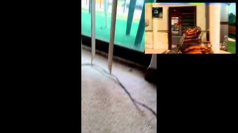 how to use a modded controller on bo2