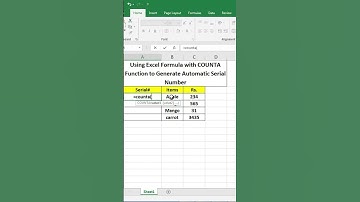 Excel trick using COUNTA Function to Generate Automatic Serial Number