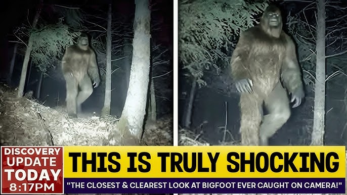 BIGFOOT SIGHTINGS - Hunter's Chilling Video - YouTube