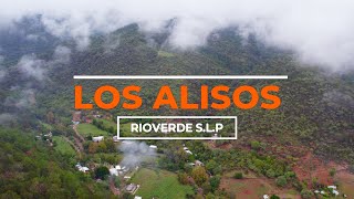 Un paseo por LOS ALISOS - Sierra de RIO VERDE San Luis Potosi