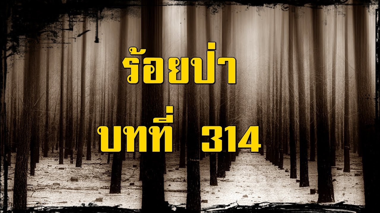 ร้อยป่า บทที่ 314 อารมณ์ถวิล | สองยาม