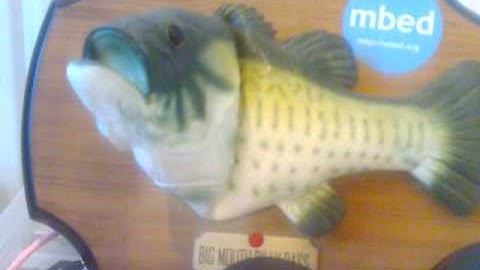 mbed microcontroller + billy bass + twitter = internet of things