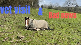 Vet visit and bad News | MD Equestrian _