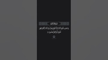سورة العنكبوت 64 بصوت الشيخ ياسر الدوسري