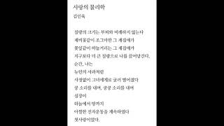 김인육_사랑의 물리학(도깨비 공유 시) | 책 | 도서 | 불면증 | 잠잘때 | 여유시간