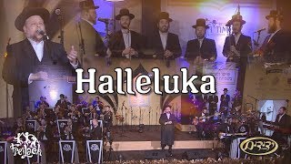 Freilach at the Shasathon - Halleluka ft. Chazzan Helfgot; Yedidim Choir chords