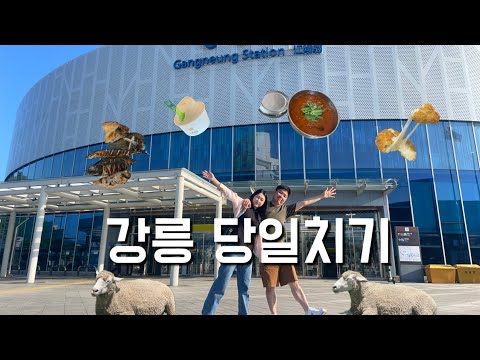 [VLOG] 강릉 당일치기여행 | 경포해변,도깨비촬영지,동화가든,하슬라아트월드,대관령양떼목장,강문해변,어묵고로케