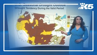 Wet winter contributes to the drought forecast for Washington state