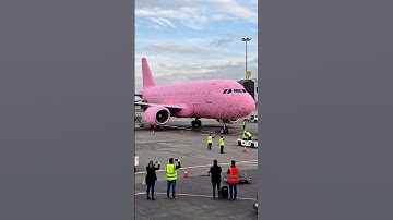 Pink Furry Aircraft #monsty #plane #aeroplane #airlines #airplane #creativeideas