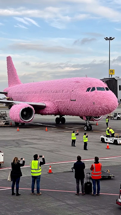 Pink Furry Aircraft #monsty #plane #aeroplane #airlines #airplane #creativeideas