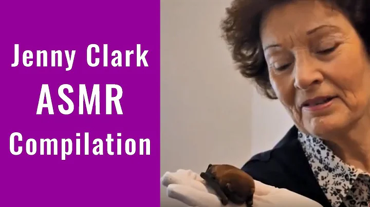 Jenny Clark Bats ASMR