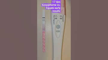 17 dpo live pregnancy test #baby #pregnancy #pregnancytest #pregnant #livepregnancytest #17dpo