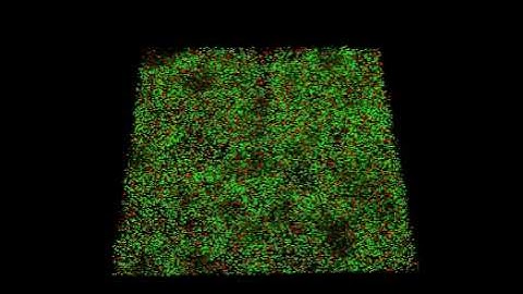 Cubic spiking  neural network