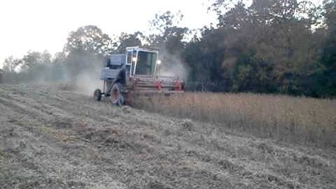 Gleaner model k picking beans