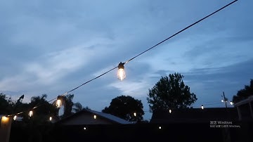 Joyful Yard: A Family