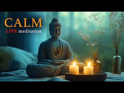 🔴 Calming Meditation Music 24/7: 528Hz Miracle Healing Frequency Music | Deep Healing Meditation