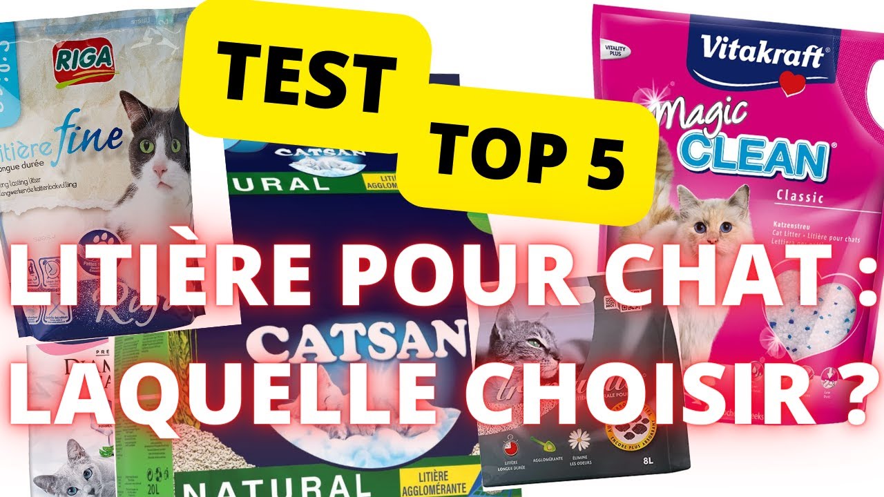 Comment Choisir Quelle Est La Meilleure Litiere Pour Chat Top 5 Pas Cher Grande Qualite Youtube