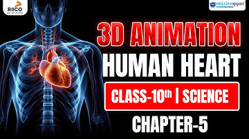 3D Animation of Human Heart | Class 10 Science Chapter 5 | NCERT Biology Life Processes