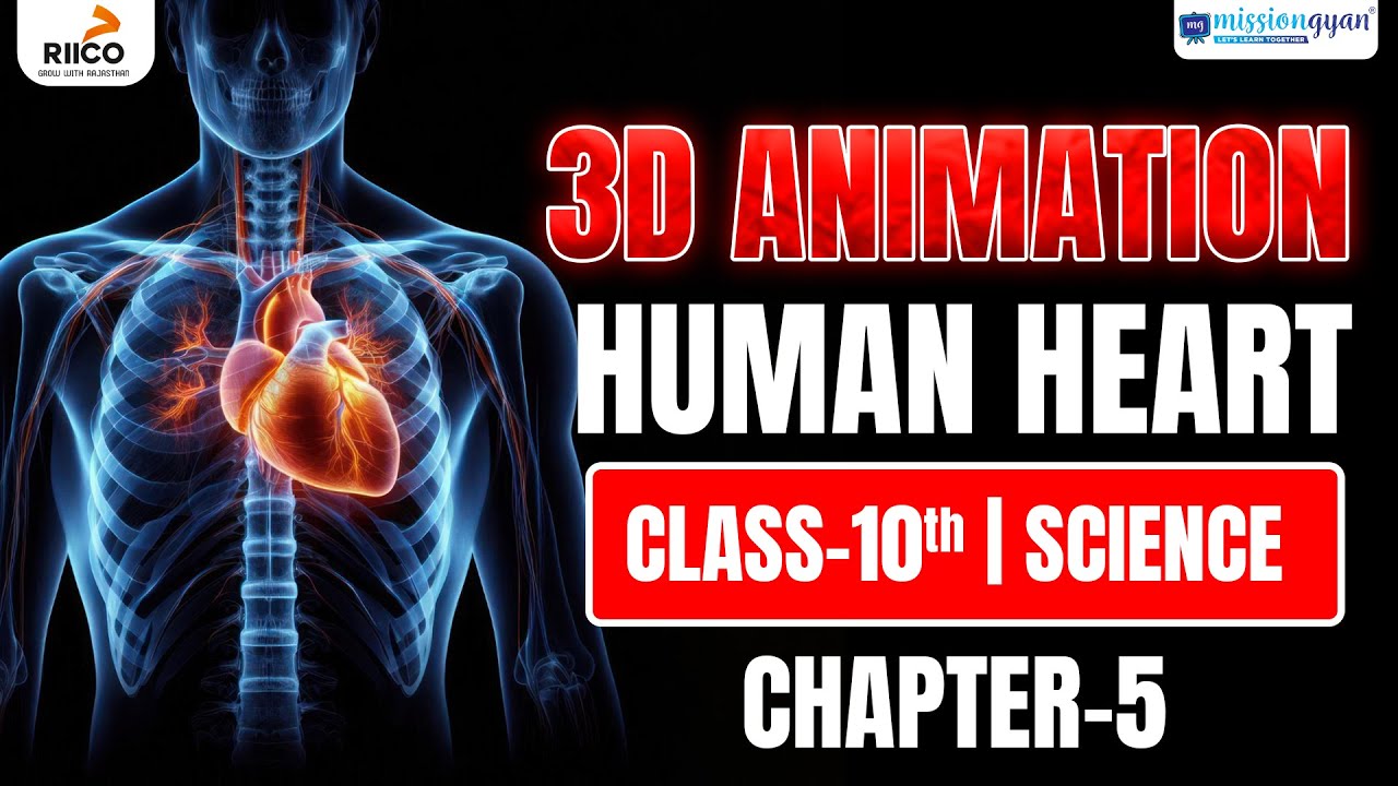 3D Animation of Human Heart | Class 10 Science Chapter 5 | NCERT Biology Life Processes