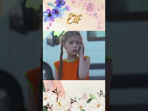 يقول إليف إنهم ذاهبون إلى كينان   