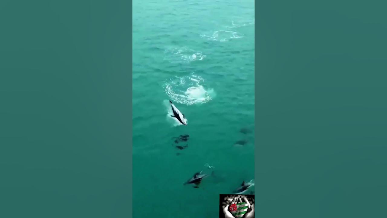 Море доброе утро Абхазия