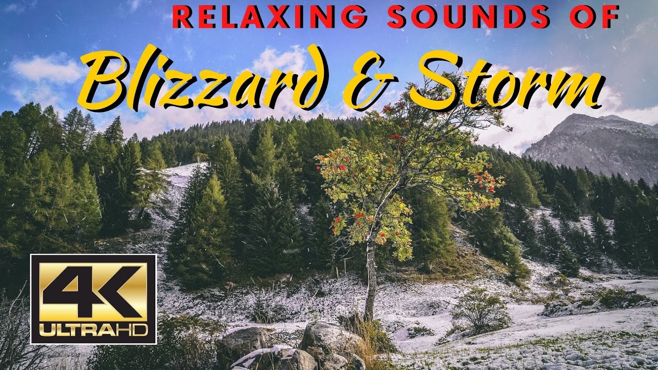 4K First Snow with Sounds of Wind and Blizzard Sounds. Winter ...