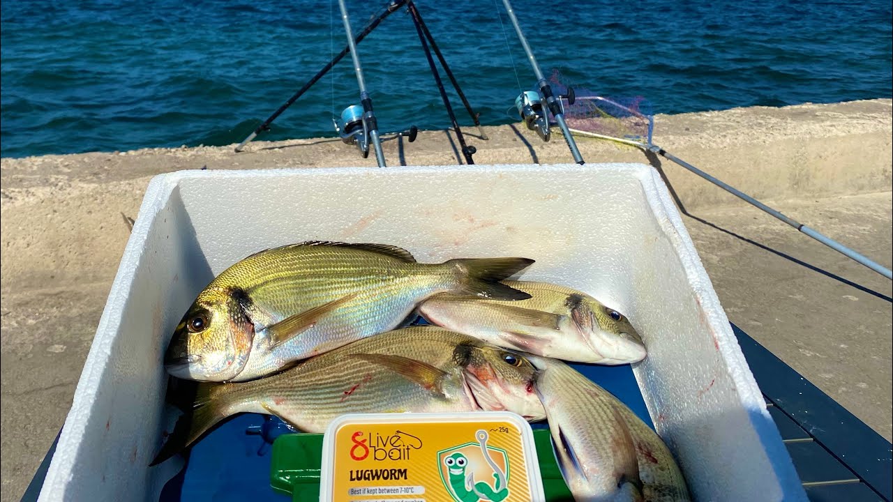 BURADA HER ZAMAN ÇUPRA VAR!!#balıkavı #balikavi #solofishing