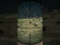 Not getting away #thehuntercallofthewildgameplay #hunting #pcgaming #videogames #videogaming #games
