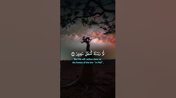 #سورة_التين #فارس_عباد