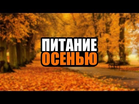 Тибетская медицина. Питание осенью