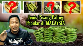 Ketahui 14 Jenis pisang PALING POPULAR di MALAYSIA