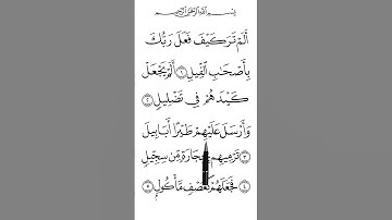 Surah Al Fil #سورة #الفیل #قران_كريم #quran