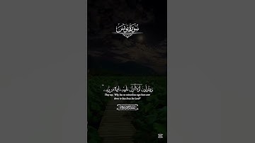 وَمَا كَانَ النَّاسُ إِلاَّ أُمَّةً وَاحِدَةً | القارئ عبدالرحمن مسعد حالات واتس اب🤍🥺🫀