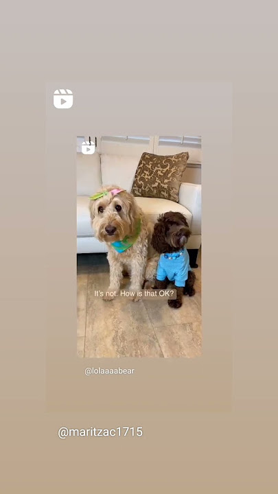 https://photos.app.goo.gl/42DGxKVGTSyGK5R4A2doggies🧸🌈💙