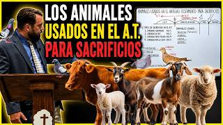 Animales Usados En El Antiguo Testamento Para Sacrificios