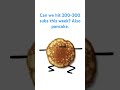 #pancake sub plise