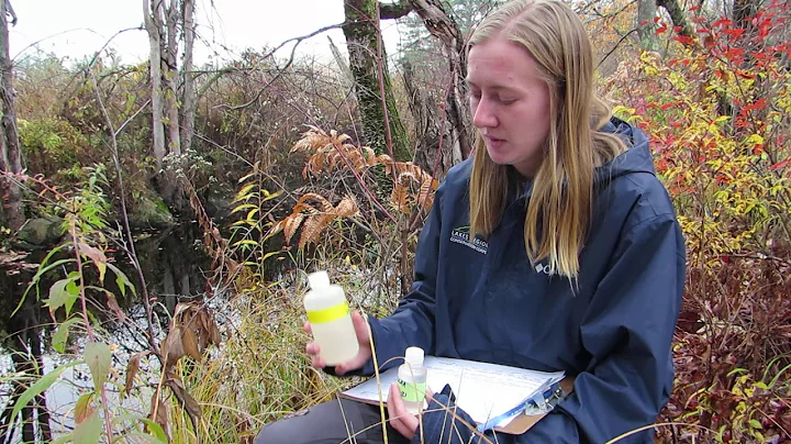 Watershed Steward Colleen Monitors Water Quality