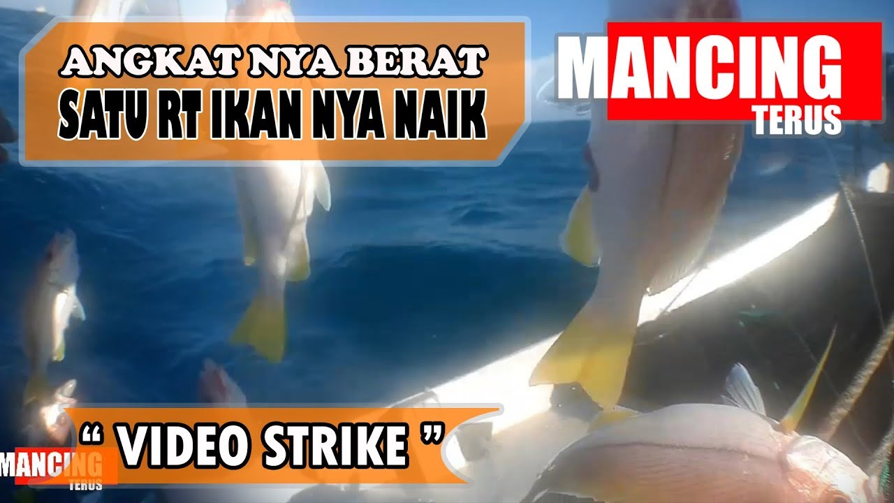 UMPAN BUATAN SENDIRI STRIKE IKAN EKOR KUNING SATU RT LANDED
